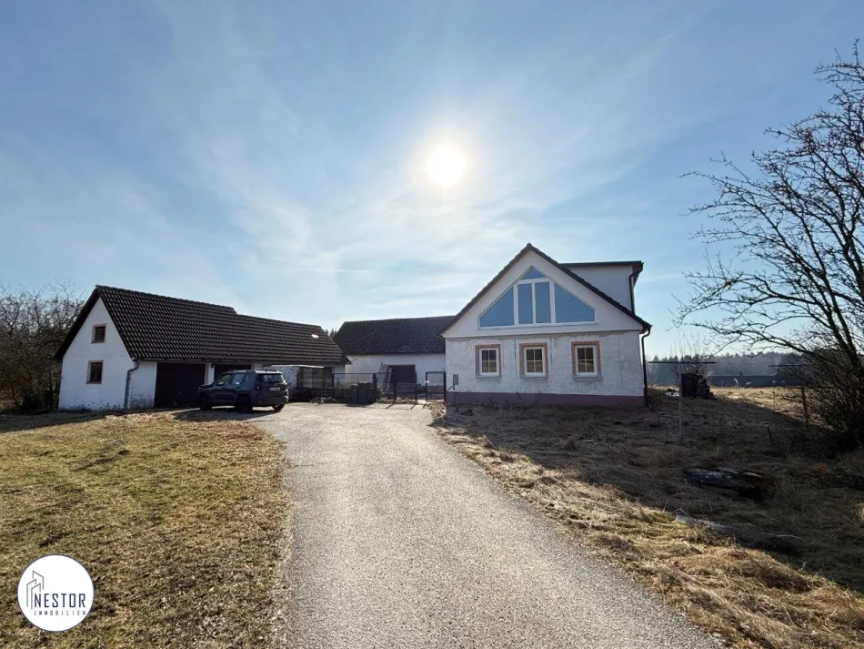 Fischteich - NESTOR Immobilien