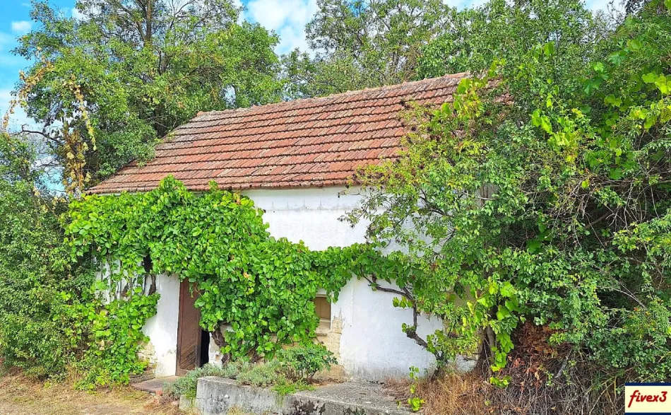 Weinkeller & Obstgarten in absoluter Ruhelage bei Großweikersdorf im Weinviertel zu kaufen - Titelbild