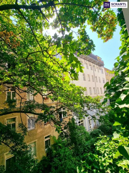 SOMMER Aktion: Nur 50% Provision! Hofseitiger BALKON genehmigt! Wiener Flair, Hofruhe und ein Blick zum Verlieben - Frisch saniert! Absolute Hof-Ruhelage mit Blick ins Grüne! Traumaft schönes Altbauhaus + Bestlage in 1030 Wien!