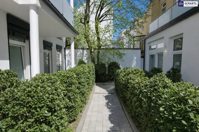 Preisreduktion - Einziehen & wohlfühlen - neu sanierte 3-Zimmer-Gartenwohnung mit Altbauflair, moderner Technik und privatem Rückzugsort im Grünen - Bild