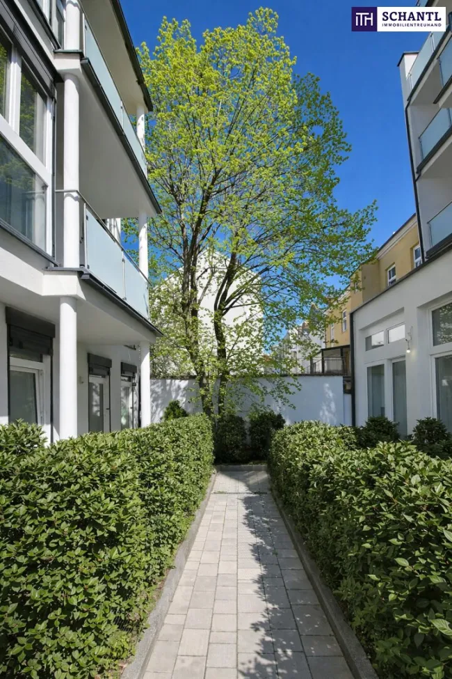 Preisreduktion! Altbauflair trifft modernen Wohnkomfort – Gartenidylle mitten in der Stadt - überzeugen Sie sich selbst von diesem 3- Zimmer-Wohntraum - Bild