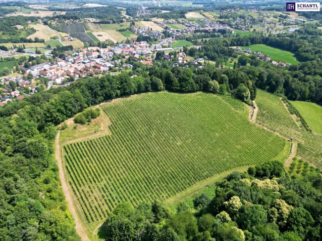 Ihr Chalet-Projekt an der Südsteirischen Weinstraße – Einzigartiges Grundstück mit spektakulärem Panoramablick in einer der schönsten Regionen der Steiermark. - Titelbild