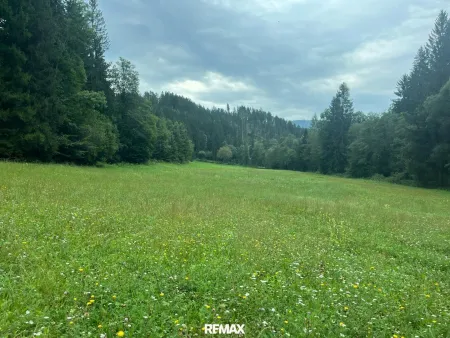 Wiesenfläche