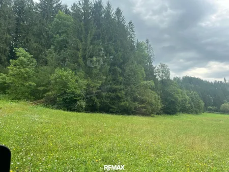 Wiesenfläche
