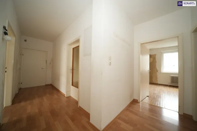 TOP-Anlegerwohnung in Grazer Bestlage mit Altmieter – hohes Entwicklungspotenzial bei Bestandsfreiheit! - Bild