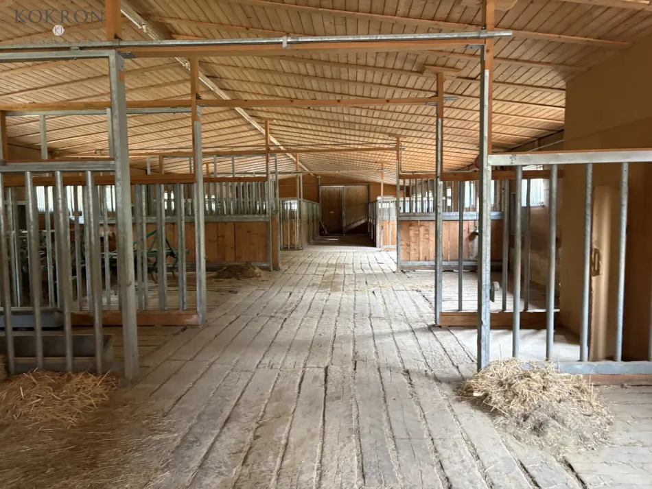 PFERDEHALTUNG MIT WEITBLICK – LANDWIRTSCHAFTLICHES ANWESEN IN ALLEINLAGE - Bild