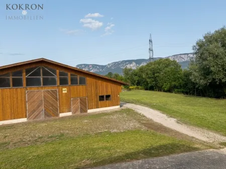 PFERDEHALTUNG MIT WEITBLICK – LANDWIRTSCHAFTLICHES ANWESEN IN ALLEINLAGE