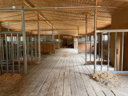 PFERDEHALTUNG MIT WEITBLICK – LANDWIRTSCHAFTLICHES ANWESEN IN ALLEINLAGE