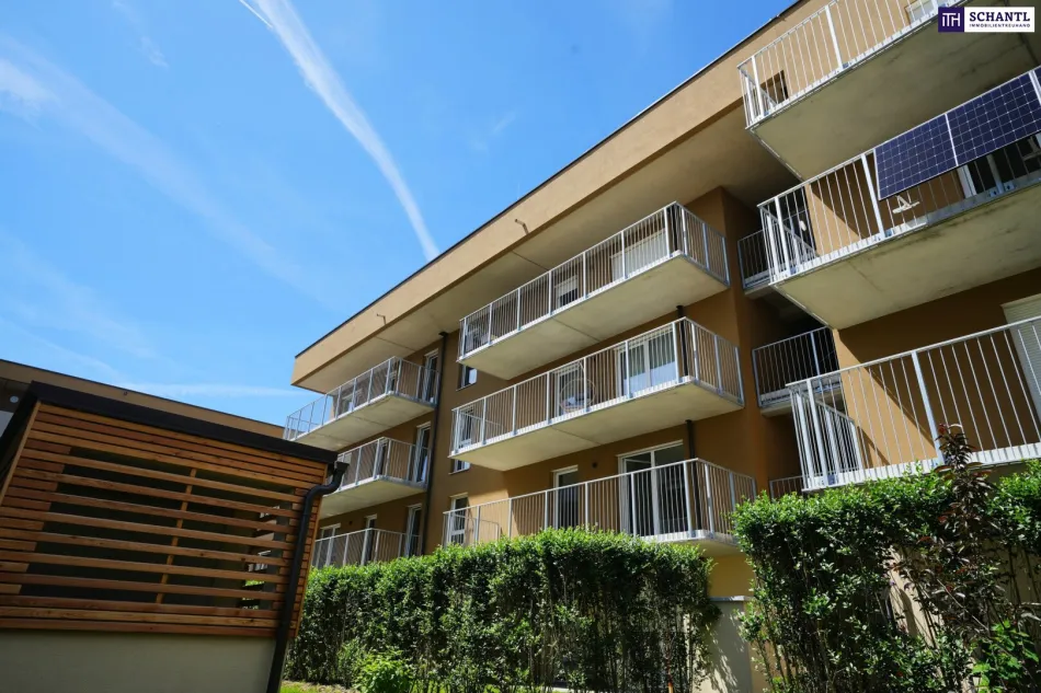 WOHNTRAUM - LETZTE CHANCE IM 1. OG - Sonnige Traumwohnung mit herrlicher Ruhelage - Bild