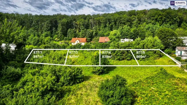 Exklusiv: Verwirklichen Sie Ihr Bauprojekt ohne Wartezeit – sichern Sie sich eine der letzten drei begehrten Bauparzellen in Bestlage, inklusive genehmigter Planung und rechtskräftiger Baubewilligung für hochwertige Luxus-Doppelhaushälften. - Titelbild