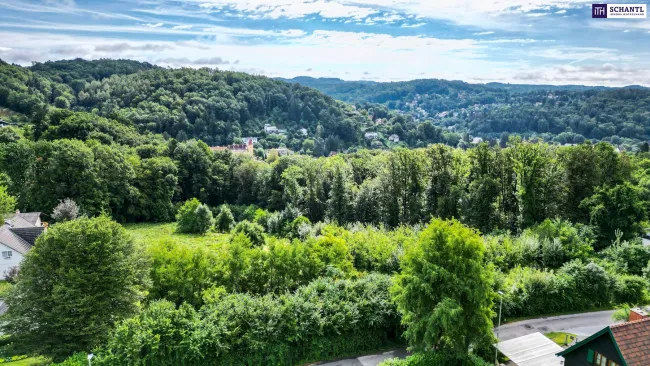 Exklusiv: Sichern Sie sich eine der letzten drei begehrten Bauparzellen in Graz – inklusive fertiger Planung und bereits erteilter Baubewilligung für Ihren raschen Baustart - Bild