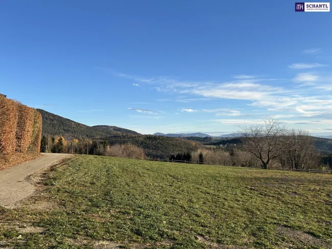 Ihr Platz für Visionen – Exklusives Panoramagrundstück in der Steiermark mit unvergleichlicher Aussicht. Jetzt Besichtigungstermin vereinbaren! - Bild