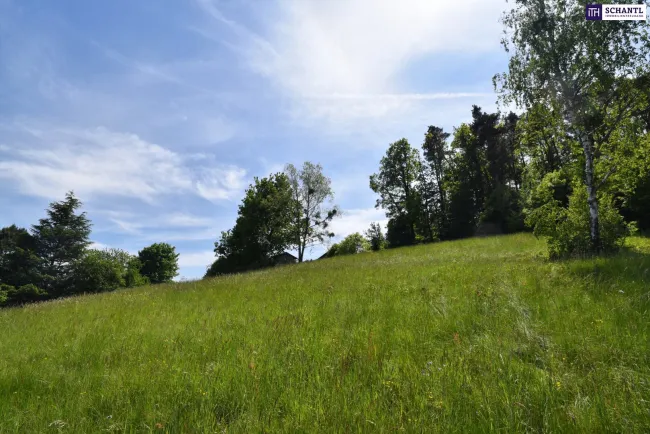 Exklusiver Baugrund in Bestlage von Graz-St. Veit – traumhafte Ruhelage, idyllisches Grünumfeld und beeindruckende Aussicht! - Bild