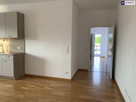 Ihr Platz an der Sonne: Traumwohnung mit ca. 60 m² in Graz-Liebenau mit Balkon, Carport & Wohlfühlgarantie – jetzt besichtigen & begeistern lassen