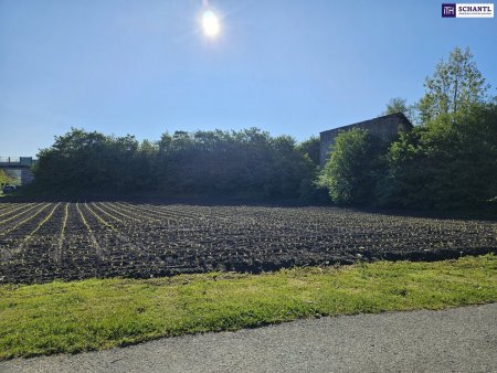 PREMIUM-BAUTRÄGERGRUND – Mit durchdachter Projektstudie! Beste Lage und ideale Voraussetzungen für Ihr erfolgreiches Bauvorhaben!