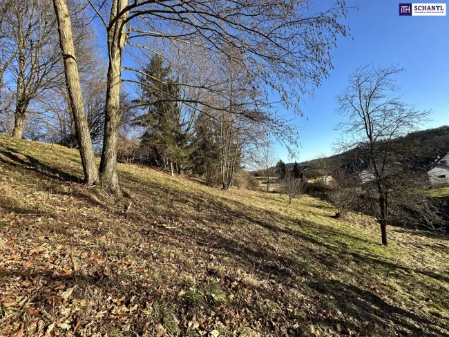 Sensationell! Jetzt in ein bewilligtes Wohnbauprojekt mit Zukunft investieren! Attraktives Baugrundstück mit genehmigtem Projekt für zwei moderne Doppelhäuser! - Bild