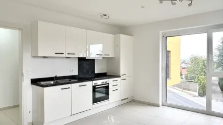 Moderne Küche mit Terrassenzugang