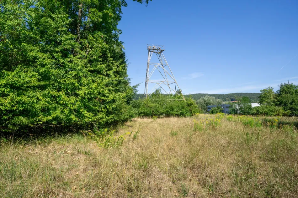 Betriebsbaugrund im Ortszentrum Pressbaum/Tullnerbach - Bild