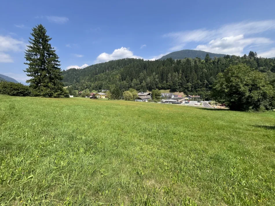Westansicht