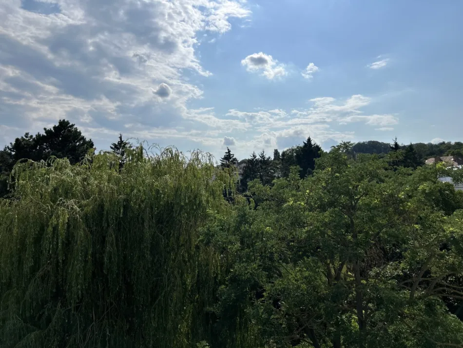 Dachgeschoß mit grosser Terrasse und traumhaften Grünblick - ERSTBEZUG ! - Bild
