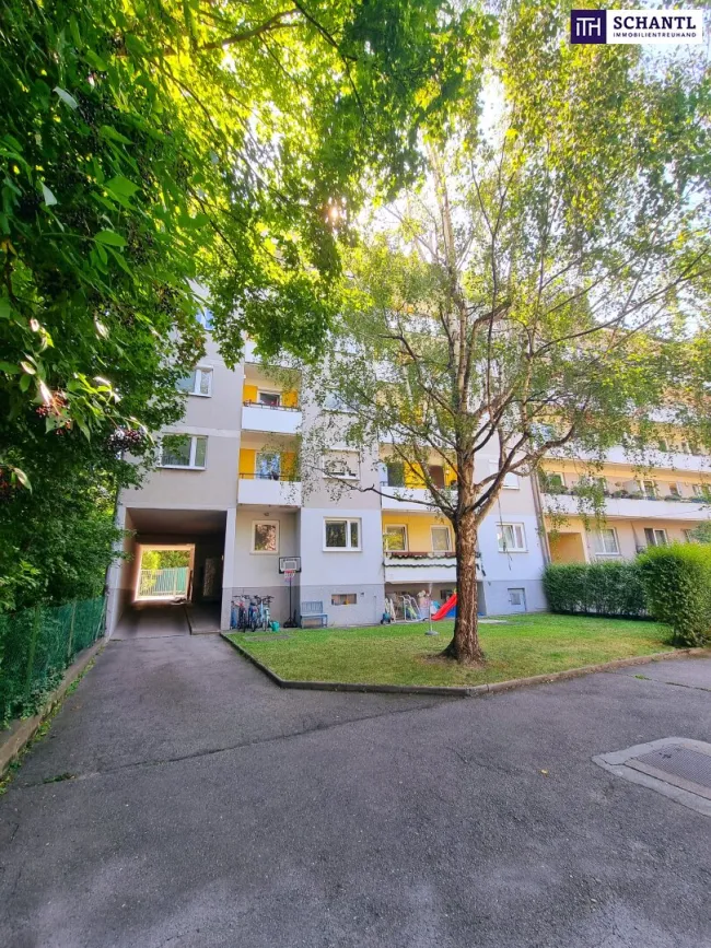 Sackgasse? Ja bitte - hier endet der Stress! 4-Zimmer Neubauwohnung + Absolute Ruhelage + Hofseitige Loggia mit Blick ins Grüne + Gepflegte Wohnhausanlage! Worauf warten Sie? - Titelbild