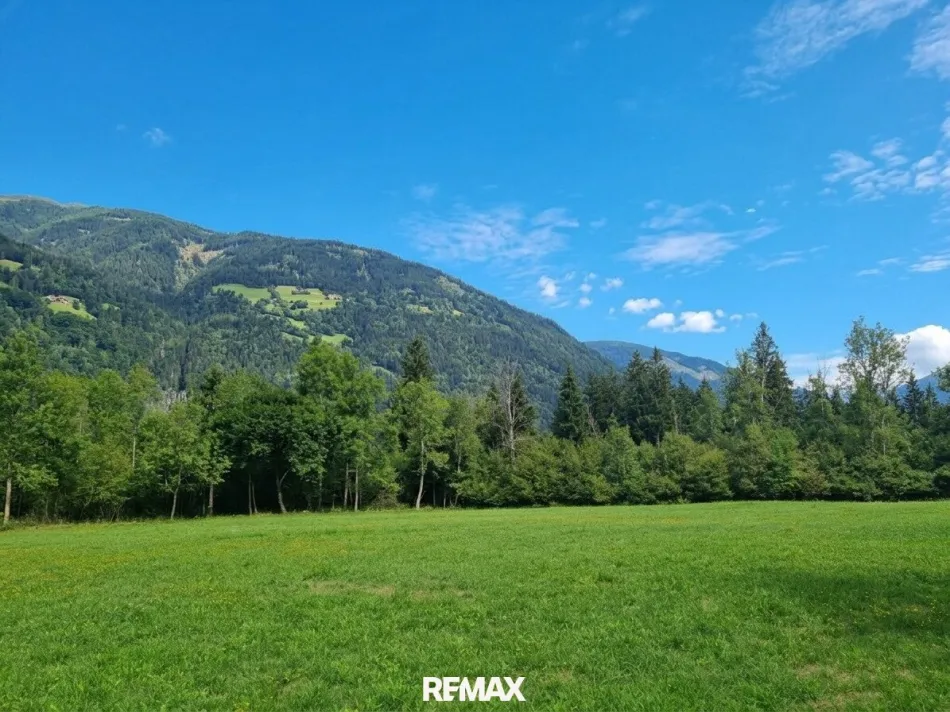 Schöne Grünlandfläche in der Gemeinde Kleblach/Lind - Bild