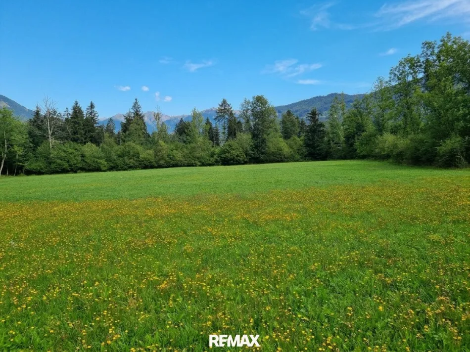 Schöne Grünlandfläche in der Gemeinde Kleblach/Lind - Titelbild