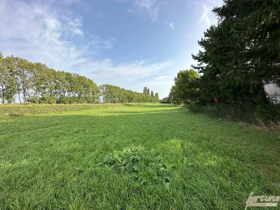 Grundstück für Bauträger in Königstetten - Titelbild