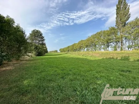 Grundstück für Bauträger in Königstetten - Bild