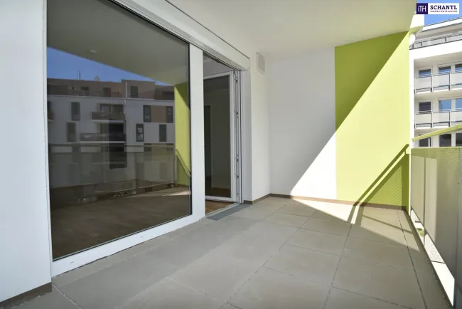 Schnell sein!!! Charmante Zwei-Zimmer-Wohnung mit großer Loggia! Jetzt besichtigen. - Titelbild