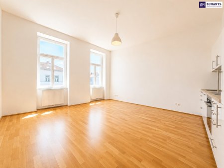 Vorsicht: Diese 37 m² fühlen sich überraschend groß an – jetzt besichtigen!