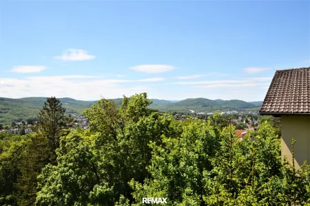 Ausblick