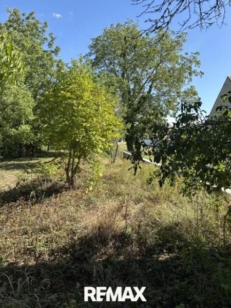 Obstgarten