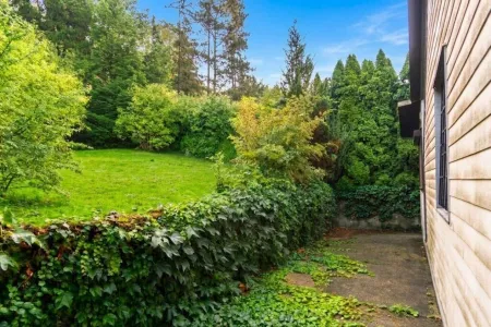 Blick vom Haus Richtung Osten - Garten hinten
