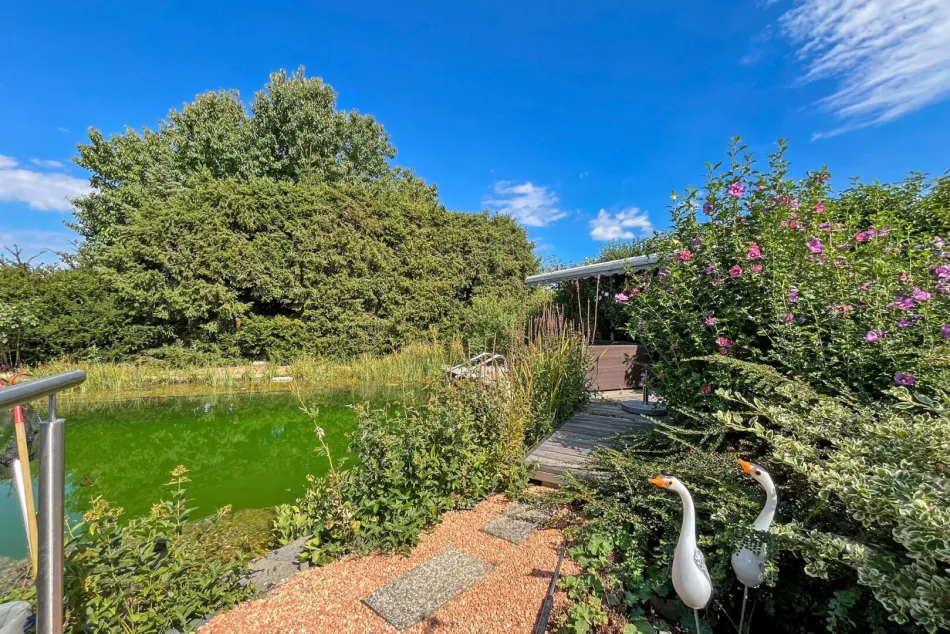 Hausansicht mit Biotop