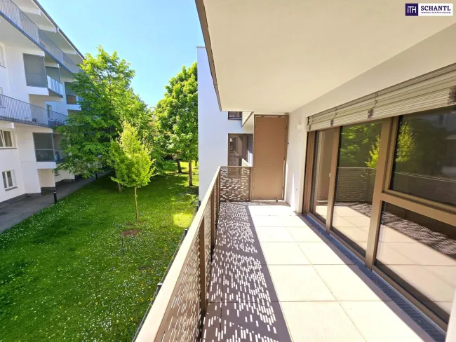Grünblick für die Seele! Kompakter Grundriss mit großem Balkon! Blick ins Grüne + Komplette Ruhelage + Energieeffizienz + Perfekte Anbindung und Nahversorgung! Jetzt zugfreifen! - Titelbild