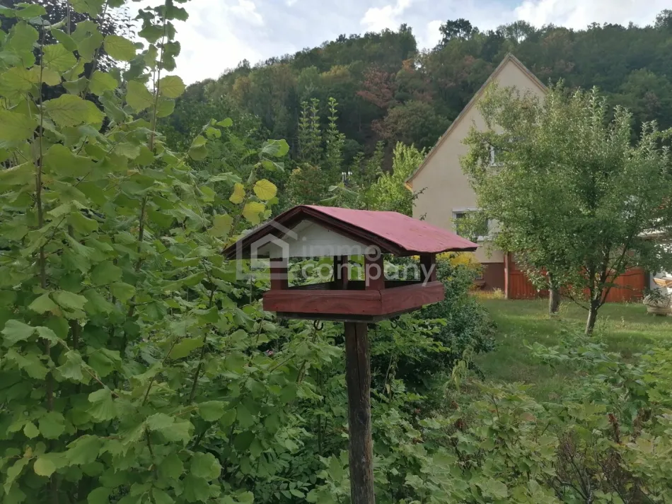 Charmantes Einfamilienhaus mit Garage, Werkstatt & großem Nebengebäude in Gloggnitz - Titelbild
