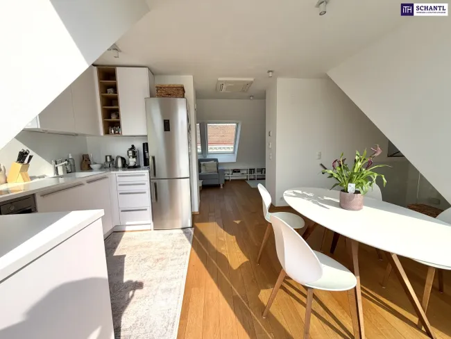 NEUER PREIS! Sonne, Stille und Weitblick – außergewöhnliche Dachgeschosswohnung in Margareten. - Bild