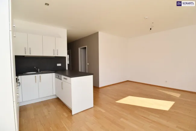 FABELHAFTE 3 Zimmer Wohnung in kleinem Wohnhaus mit Innenhof-Süd-Ausrichtung! Top Anbindung! Ab sofort verfügbar! - Bild