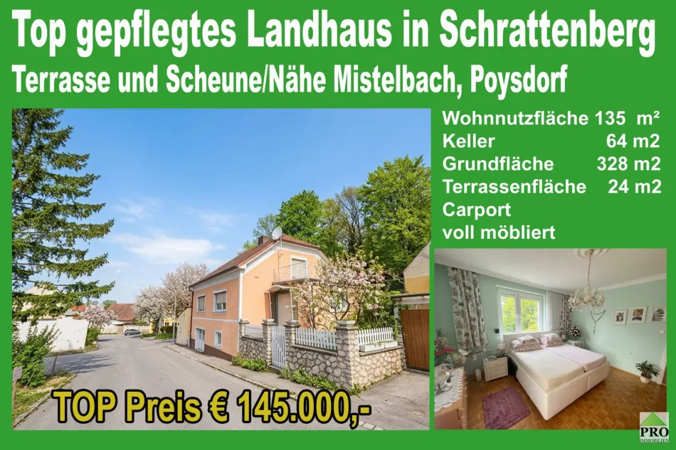 Top gepflegtes Landhaus in Schrattenberg mit Terrasse und Scheune/Nähe Mistelbach - Titelbild