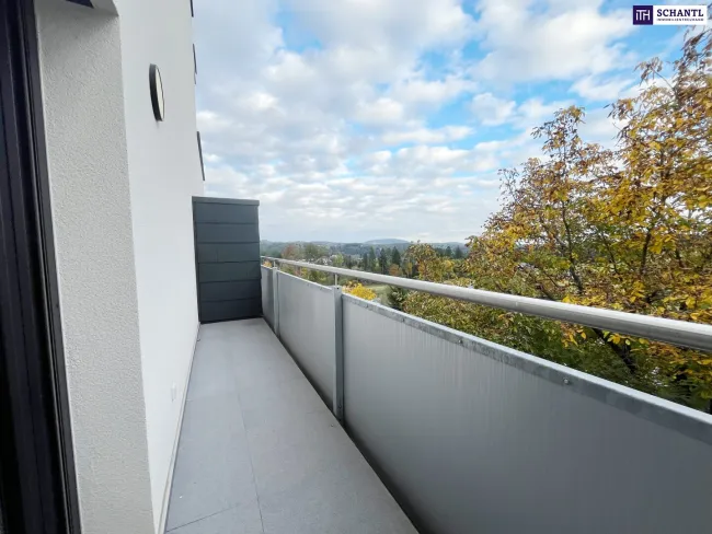 Entzückende, moderne, vollmöblierte Garconniere mit 40m² - 3D-Rundgang vorhanden! - Bild