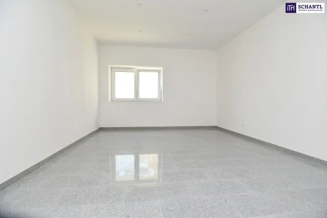 Kleine Wohlfühlwohnung oder Praxis mit separater Küche in idyllischer Grünlage - Bild