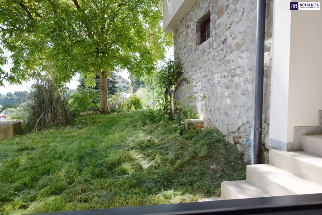 Kleine Wohlfühlwohnung oder Praxis mit separater Küche in idyllischer Grünlage - Bild