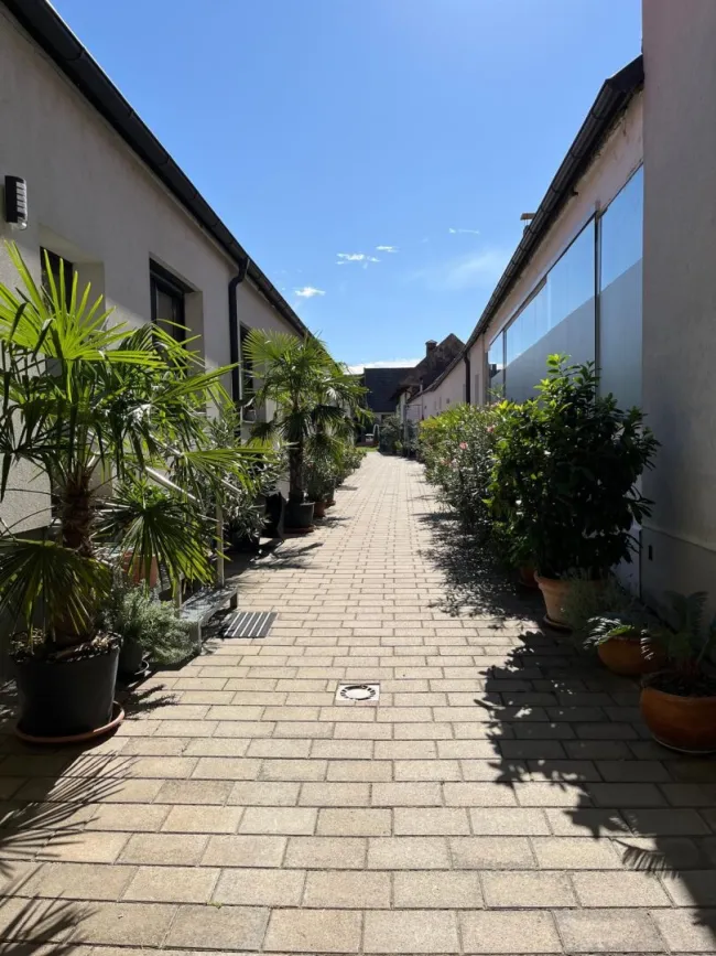 Charmante Ferienwohnung mit 30 m² in Weiden am See – für 1 Jahr - Bild