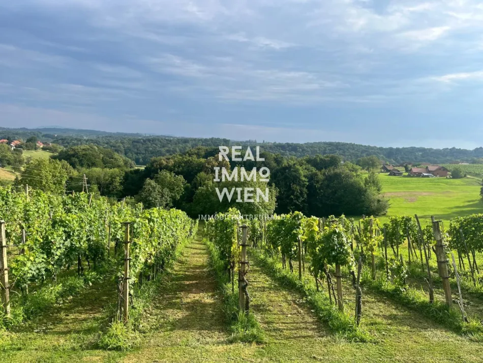 Idyllisches Einfamilienhaus mit eigenem Weinberg und Panoramaterrasse - Titelbild