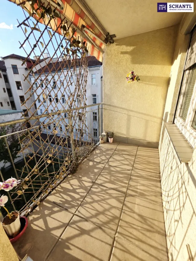 LOGGIA LOVE - Perfekter Grundriss trifft sonnige Westausrichtung! Gepflegter Neubau + Ideal als Anlage + Tolle Infrastruktur und Anbindung! - Titelbild