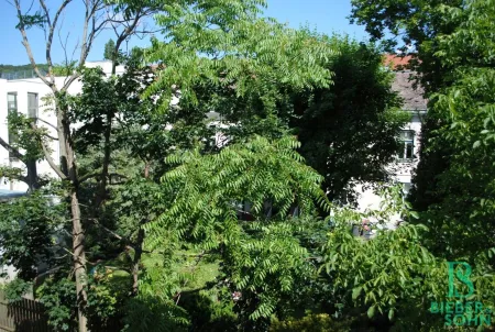 Ausblick
