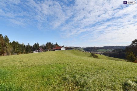 SPITZEN Grundstück vollerschlossen mit hoher Bebauungsdichte - ca. 330m² Wohnfläche in Oisnitz / St. Josef - Nähe Lannach