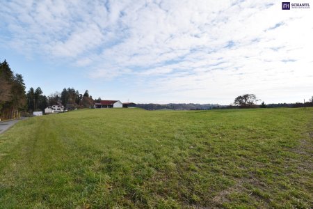 SPITZEN Grundstück vollerschlossen mit hoher Bebauungsdichte - ca. 330m² Wohnfläche in Oisnitz / St. Josef - Nähe Lannach