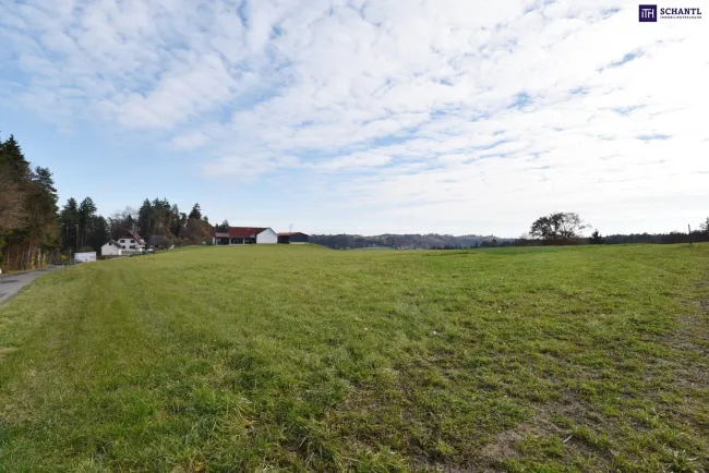 SPITZEN Grundstück vollerschlossen mit hoher Bebauungsdichte - ca. 330m² Wohnfläche in Oisnitz / St. Josef - Nähe Lannach - Bild